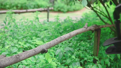 Outdoor LEDs Clip On Solar Motion Sensor Light